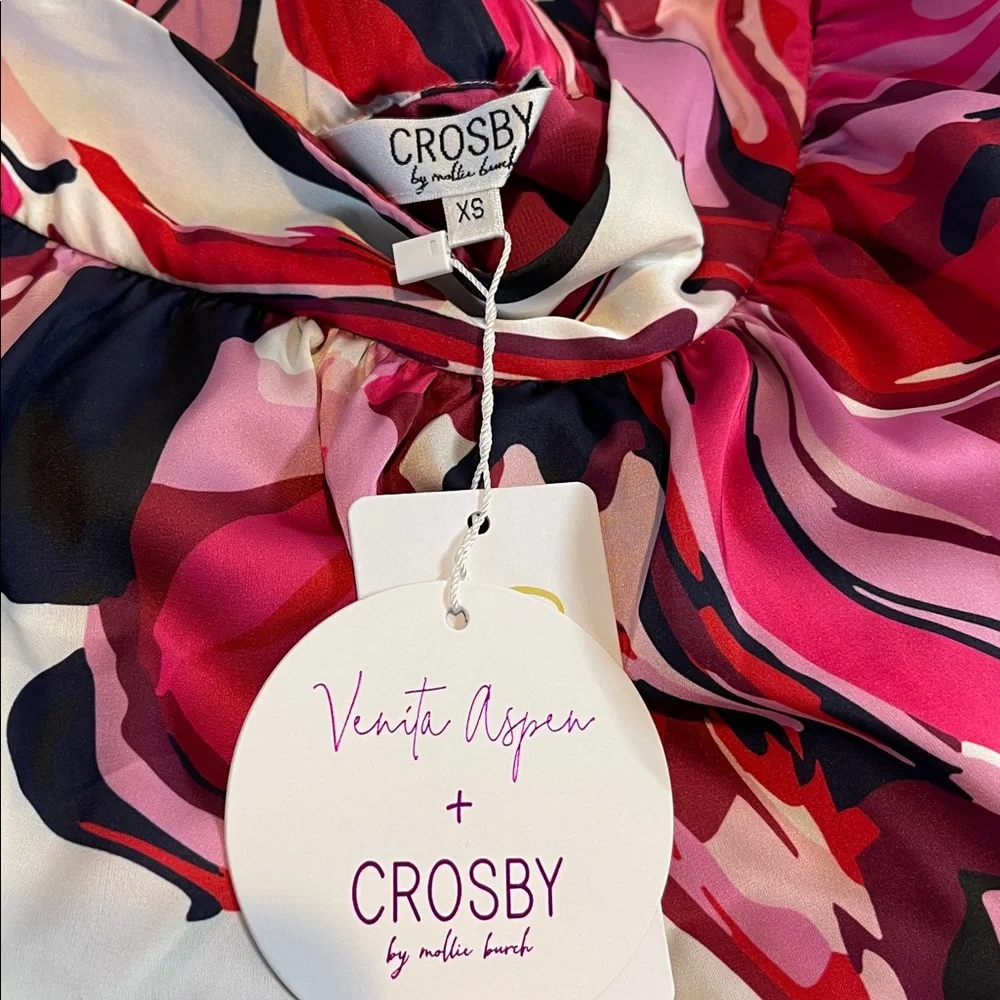 NWT Crosby by Mollie Burch Eartha Skirt Aspen Print Tiered Midi XS
